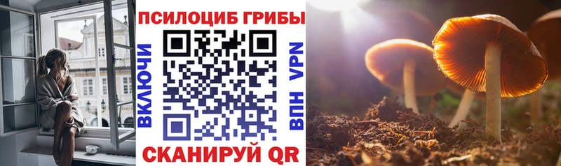 Псилоцибиновые грибы Psilocybine cubensis  хочу наркоту  Буинск 